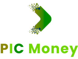 PicMoney Logo